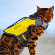 Load image into Gallery viewer, Cat Life Jacket
