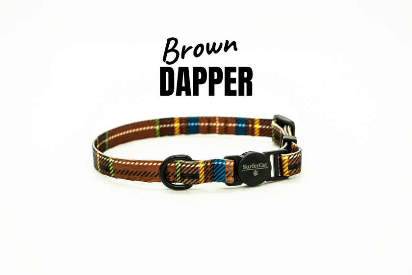 Breakaway Collar