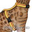 All Harnesses & Collections