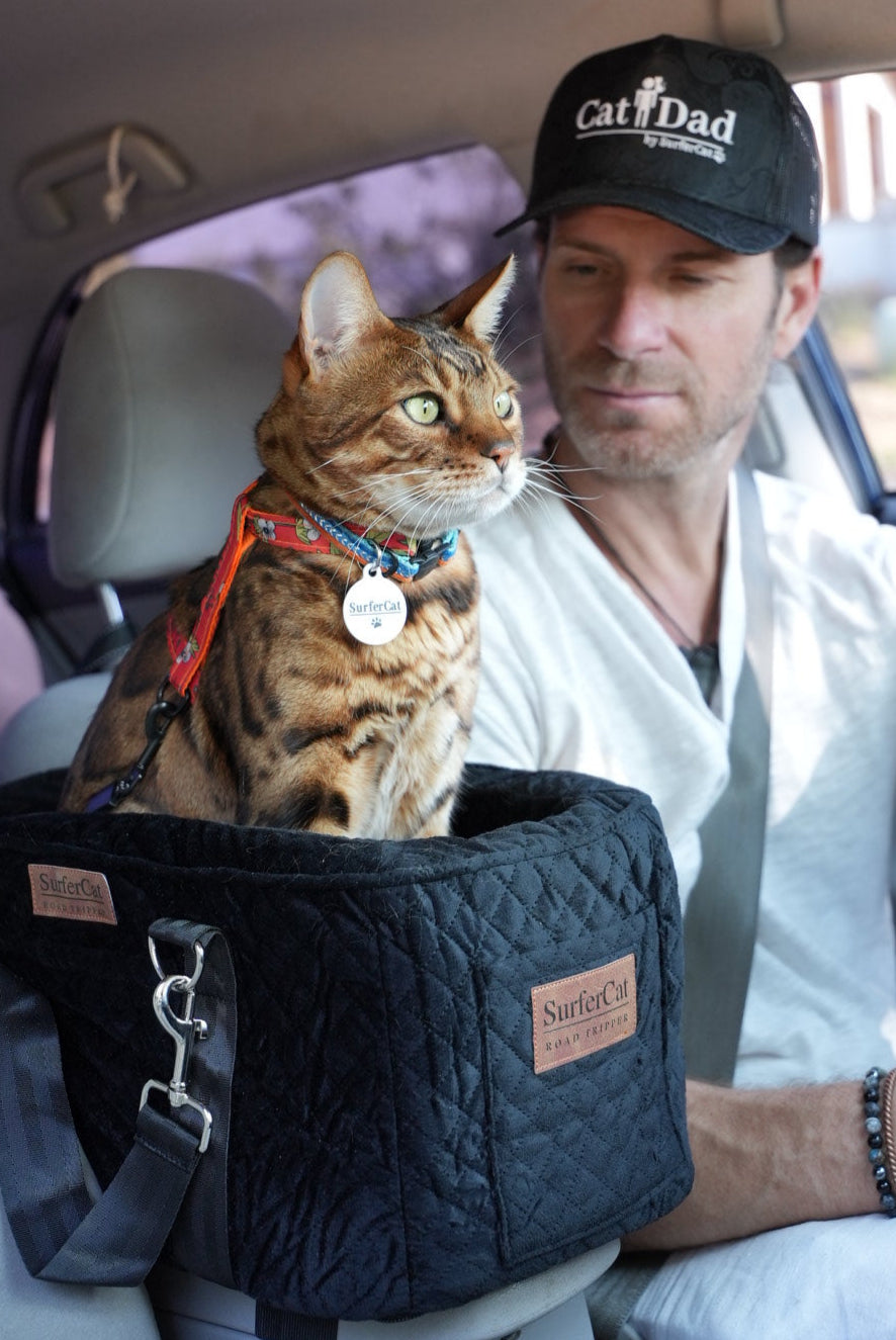 The Road Tripper - Trains Your Cat to Love Car Rides
