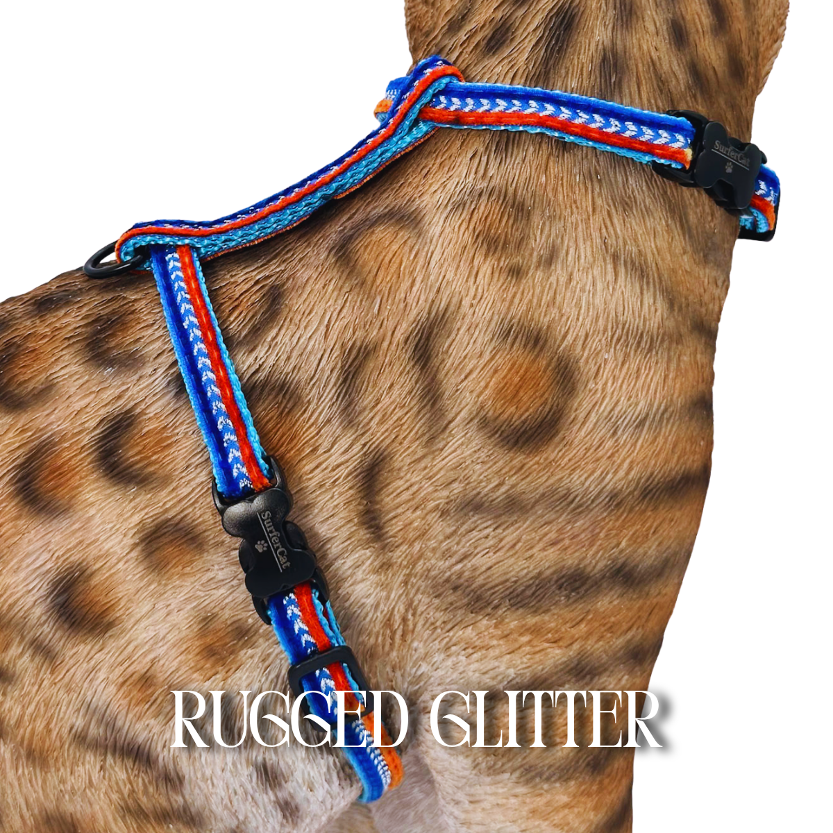 All Harnesses & Collections