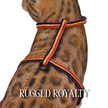 All Harnesses & Collections