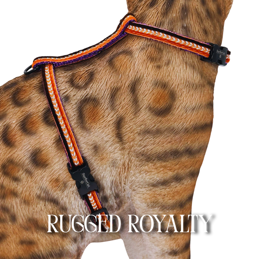All Harnesses & Collections