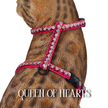 All Harnesses & Collections