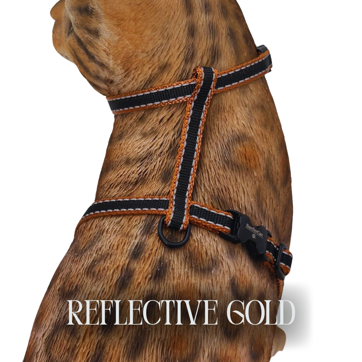 Reflective Harness Collection Escape Proof