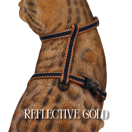 All Harnesses & Collections