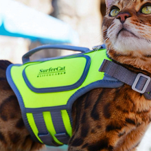 Load image into Gallery viewer, Cat Life Jacket
