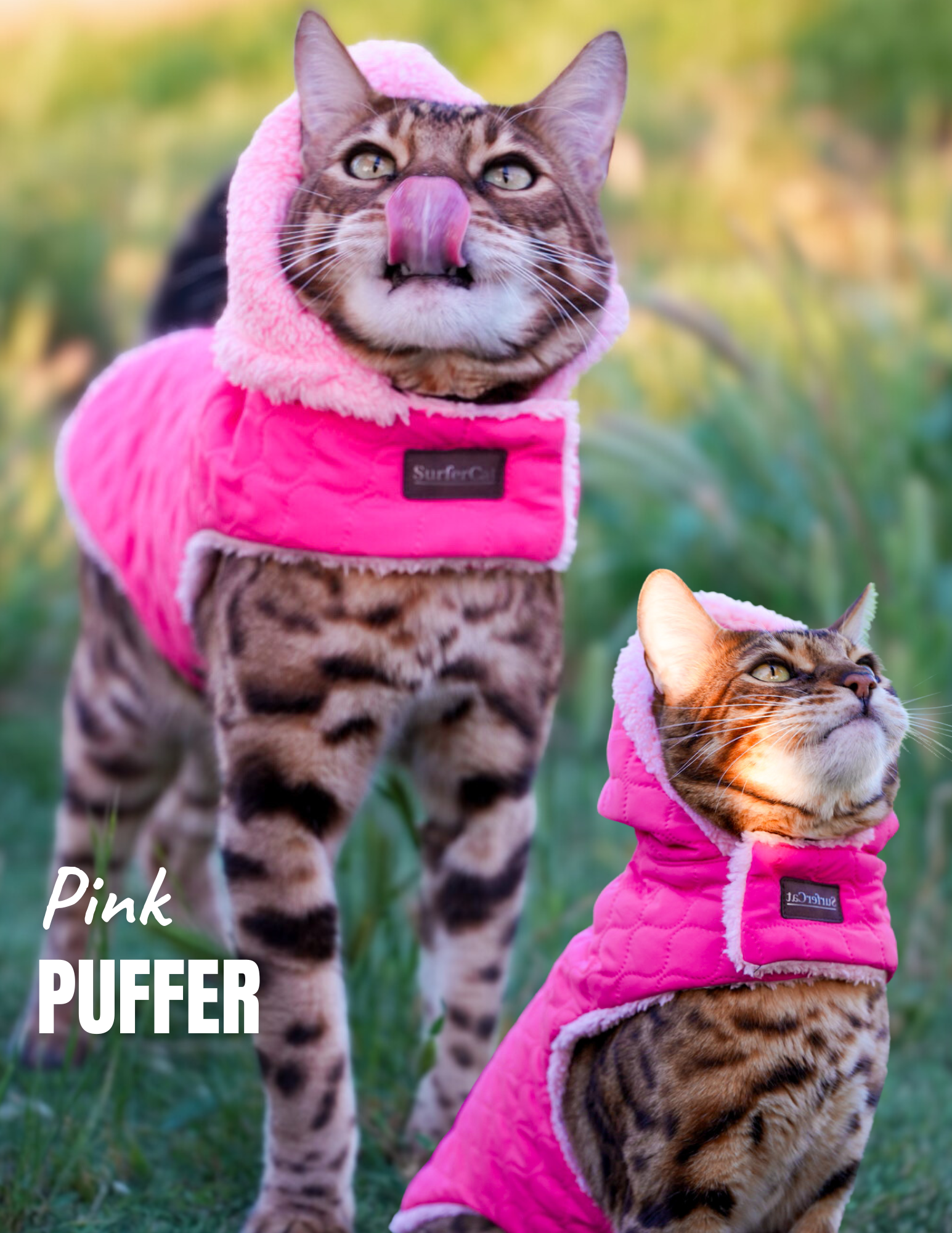 Hideaway Hoodie Collection - Reversible Cat Jacket