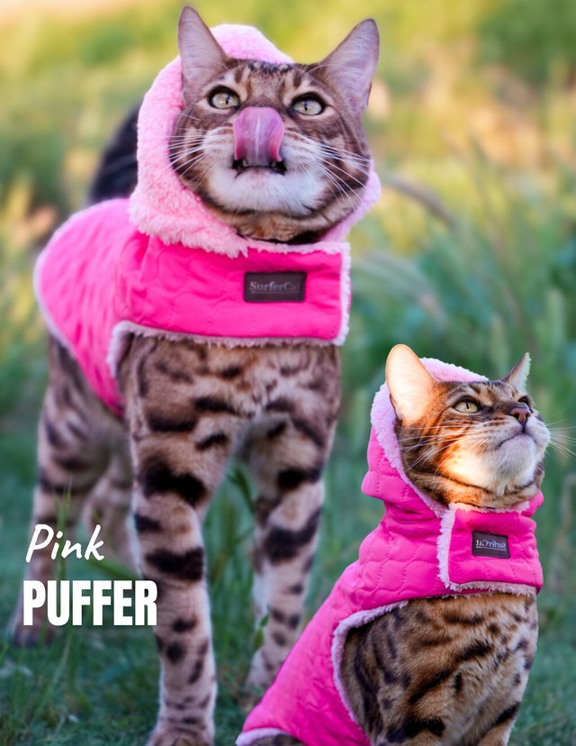 Hideaway Hoodie Collection - Reversible Cat Jacket