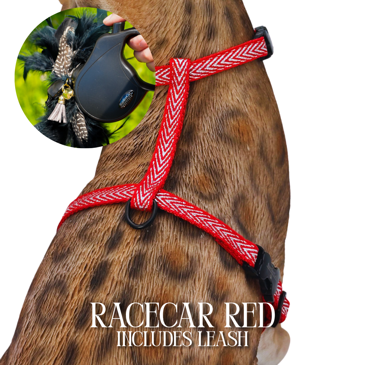 Leash and Harness Set
