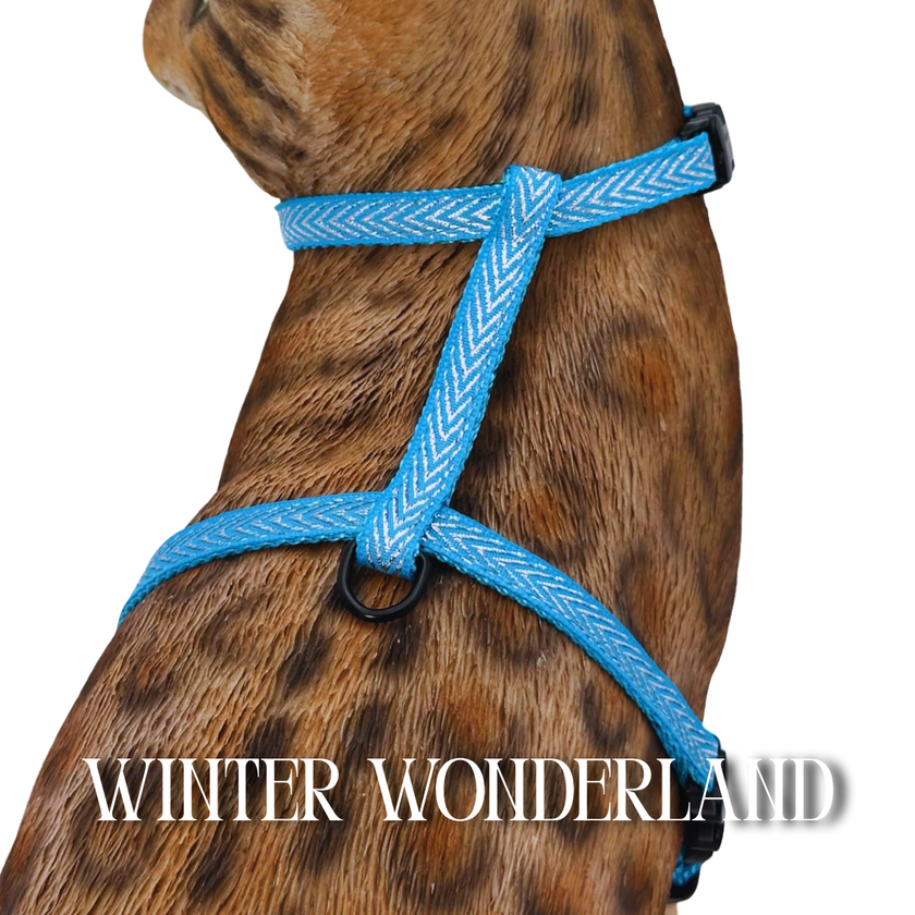 All Harnesses & Collections