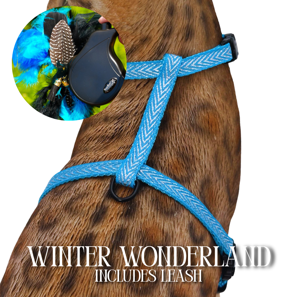 Leash and Harness Set