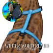 Leash and Harness Set