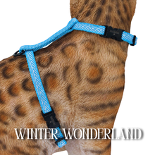 Load image into Gallery viewer, Rugged Glitter Collection - Escape-Proof Harness
