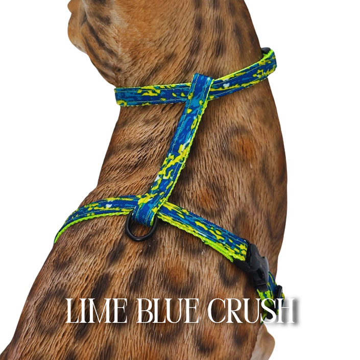 Lime Crush Collection - Escape-Proof Harness