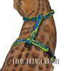 Lime Crush Collection - Escape-Proof Harness