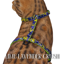 Load image into Gallery viewer, All Harnesses &amp; Collections
