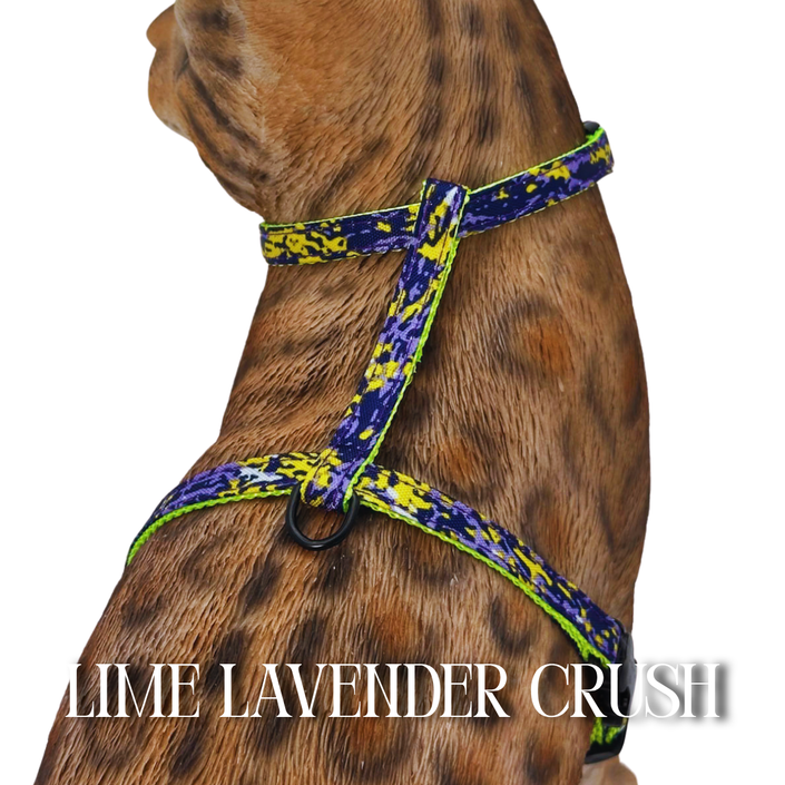 Lime Crush Collection - Escape-Proof Harness