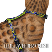 All Harnesses & Collections