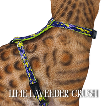 Load image into Gallery viewer, All Harnesses &amp; Collections
