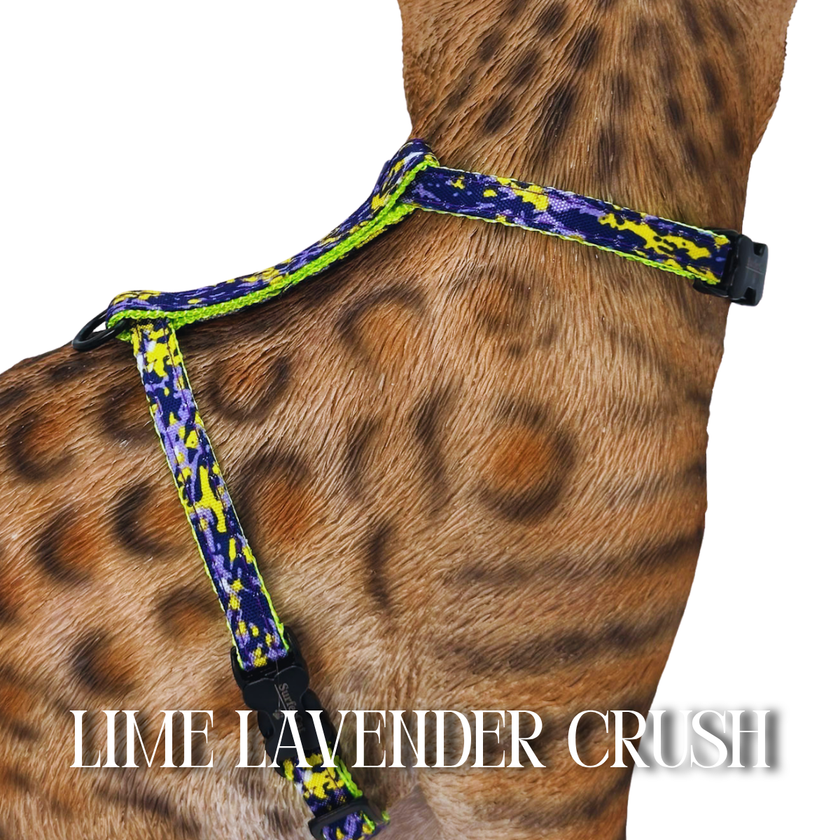 All Harnesses & Collections