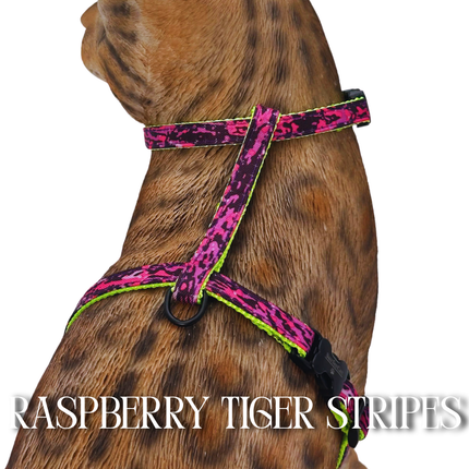 Lime Crush Collection - Escape-Proof Harness