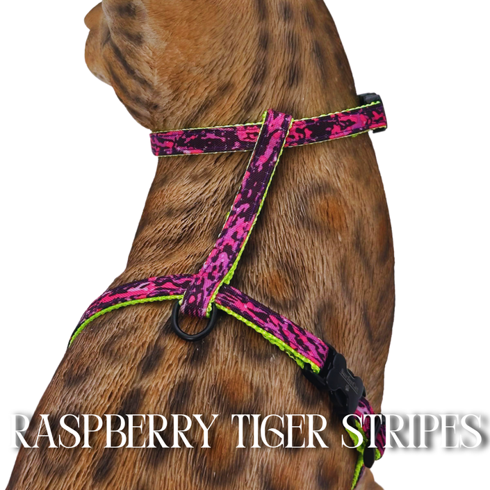 Lime Crush Collection - Escape-Proof Harness