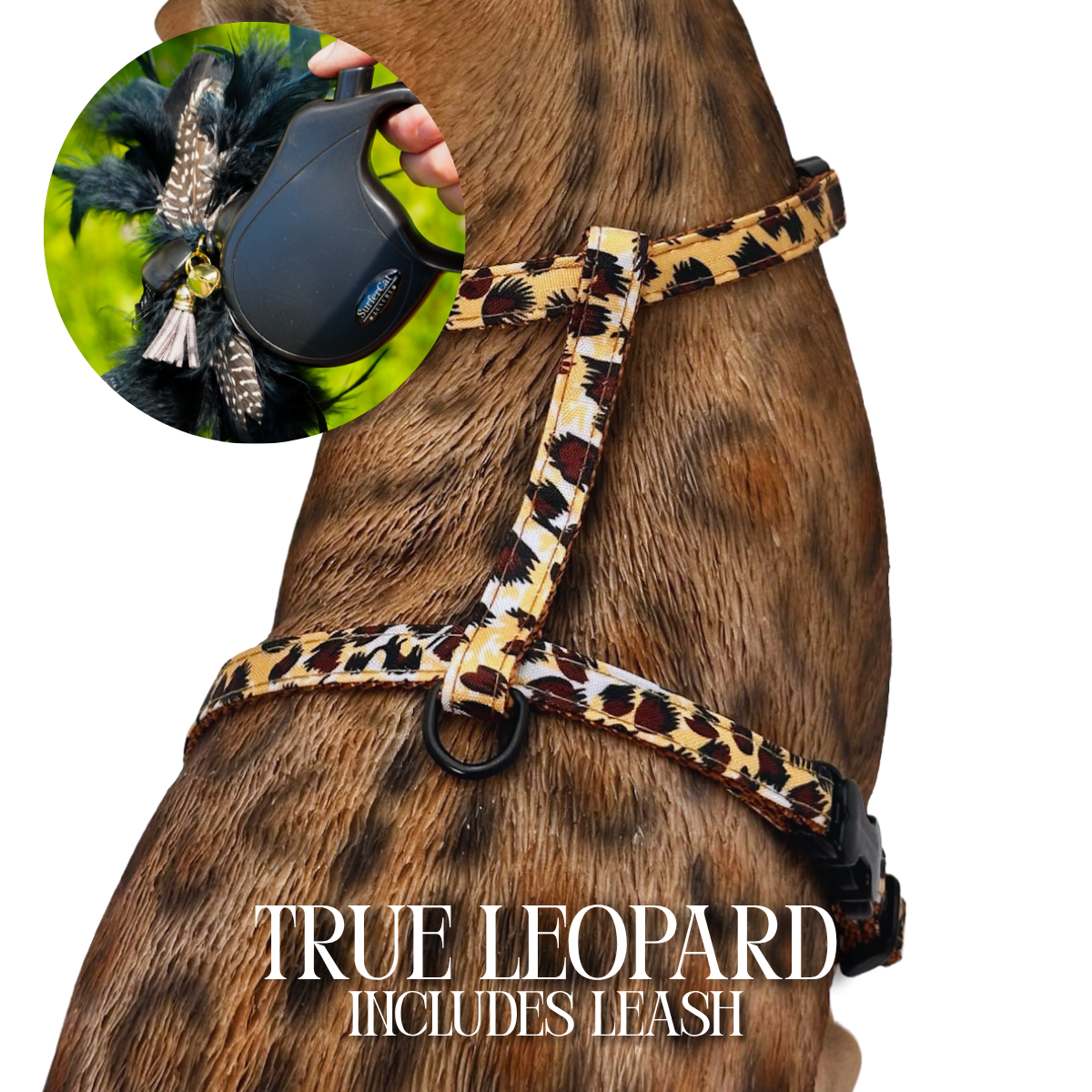 Leash and Harness Set