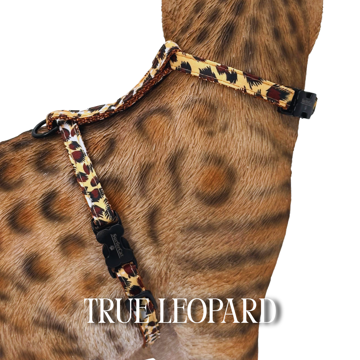 All Harnesses & Collections