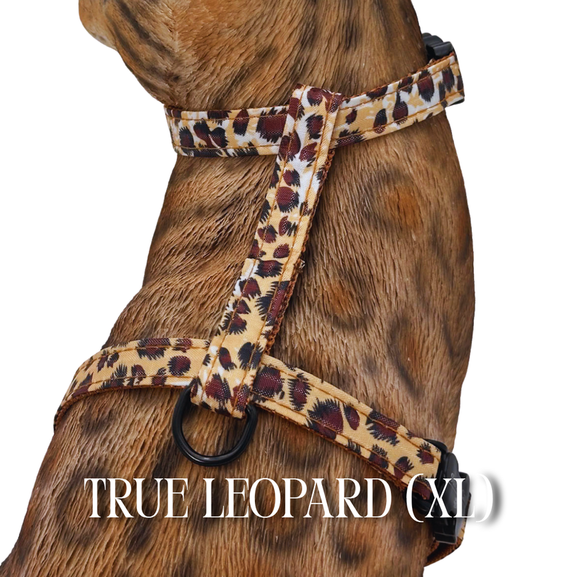 All Harnesses & Collections