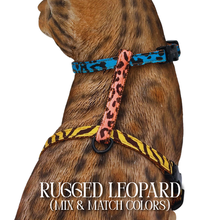 All Harnesses & Collections
