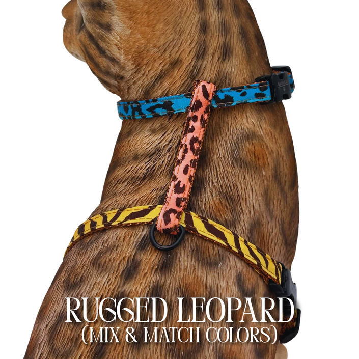 All Harnesses & Collections