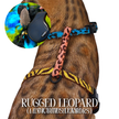 Leash and Harness Set