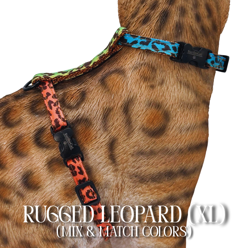 All Harnesses & Collections