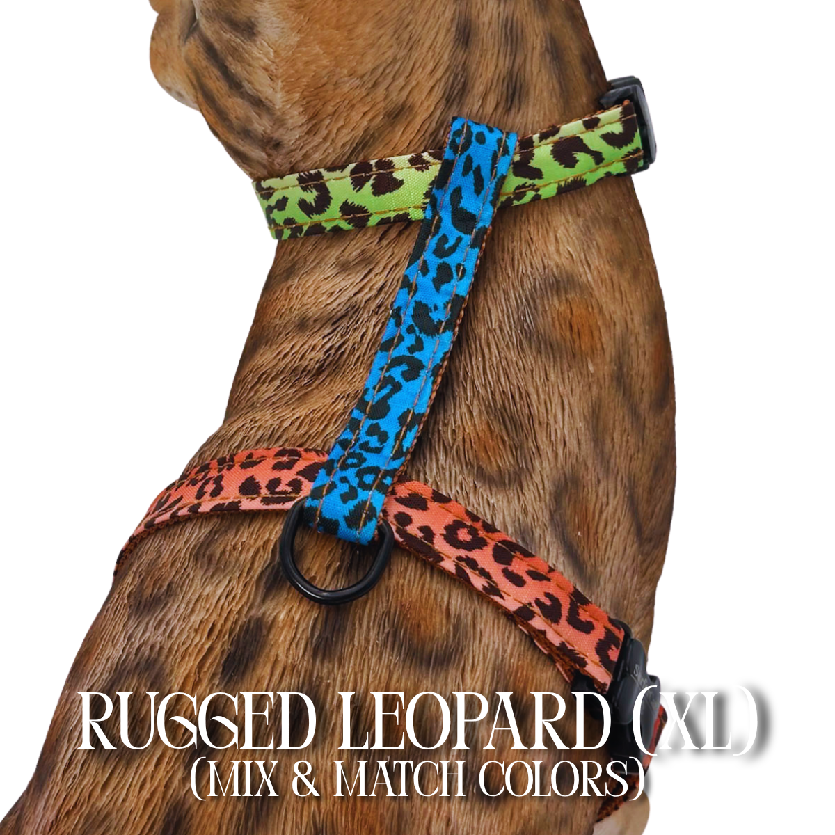 All Harnesses & Collections