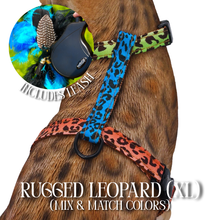 Load image into Gallery viewer, XL Harness &amp; Leash Set
