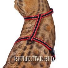 Load image into Gallery viewer, All Harnesses &amp; Collections
