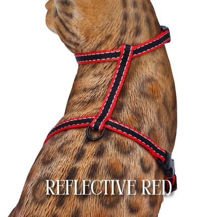 All Harnesses & Collections
