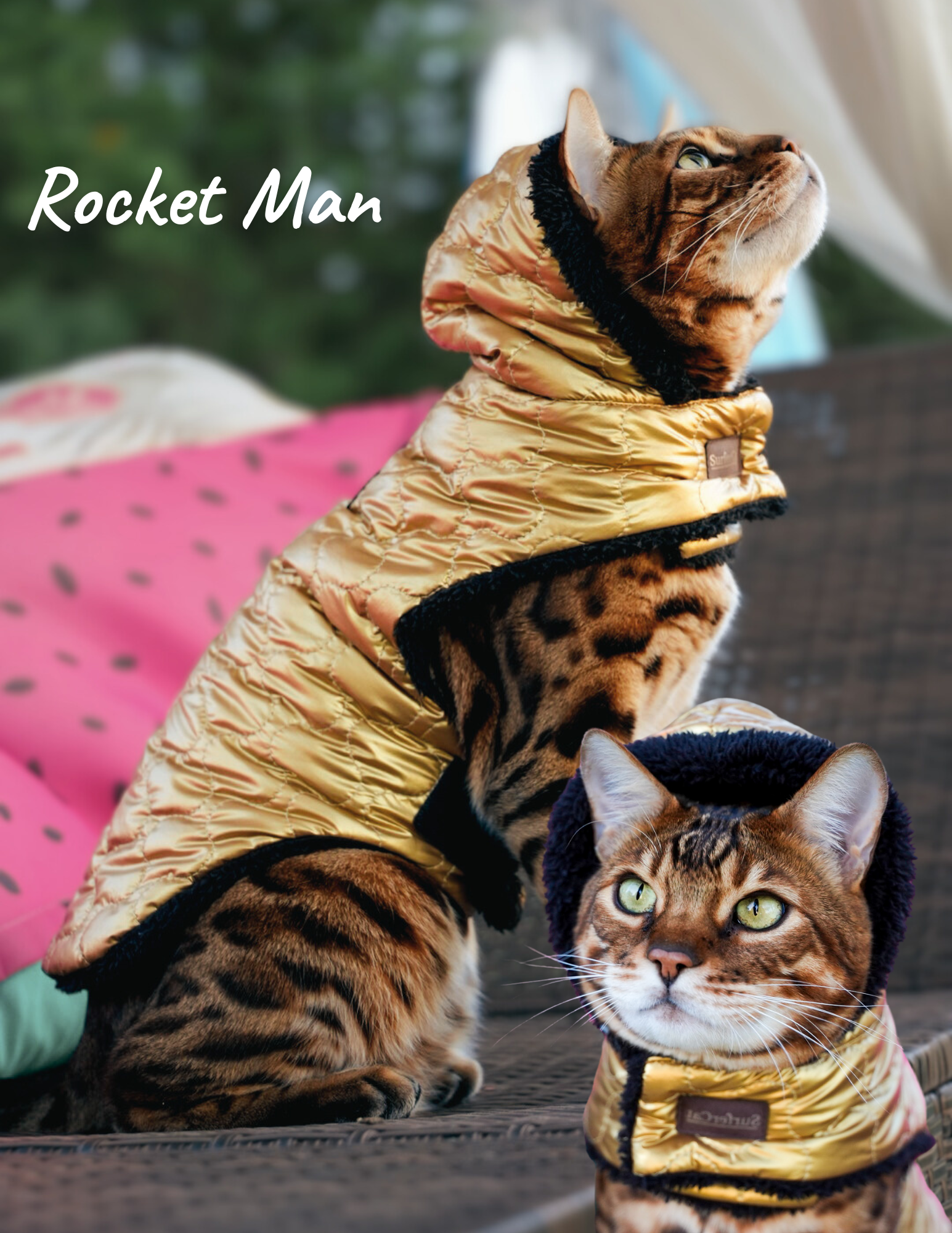Hideaway Hoodie Collection - Reversible Cat Jacket – SurferCat