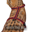 Reflective Harness Collection Escape Proof