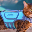 Cat Life Jacket