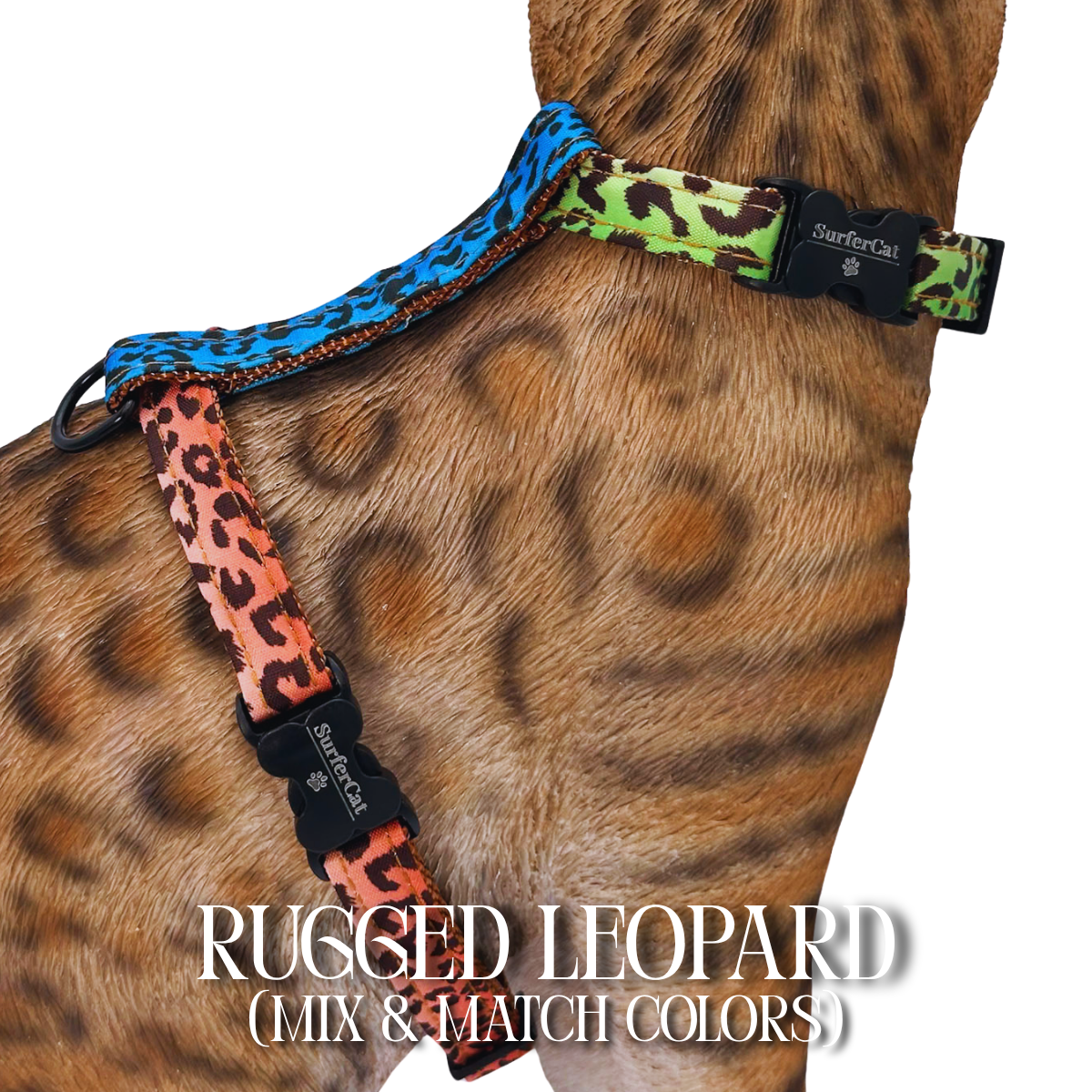 All Harnesses & Collections