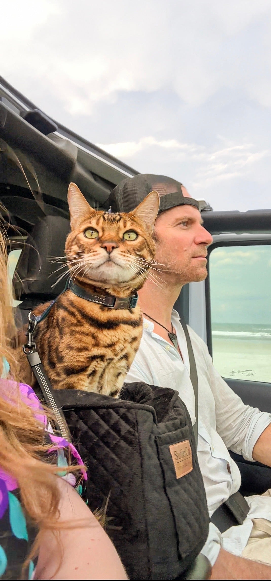 All Products – Page 4 – SurferCat