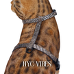 All Harnesses & Collections