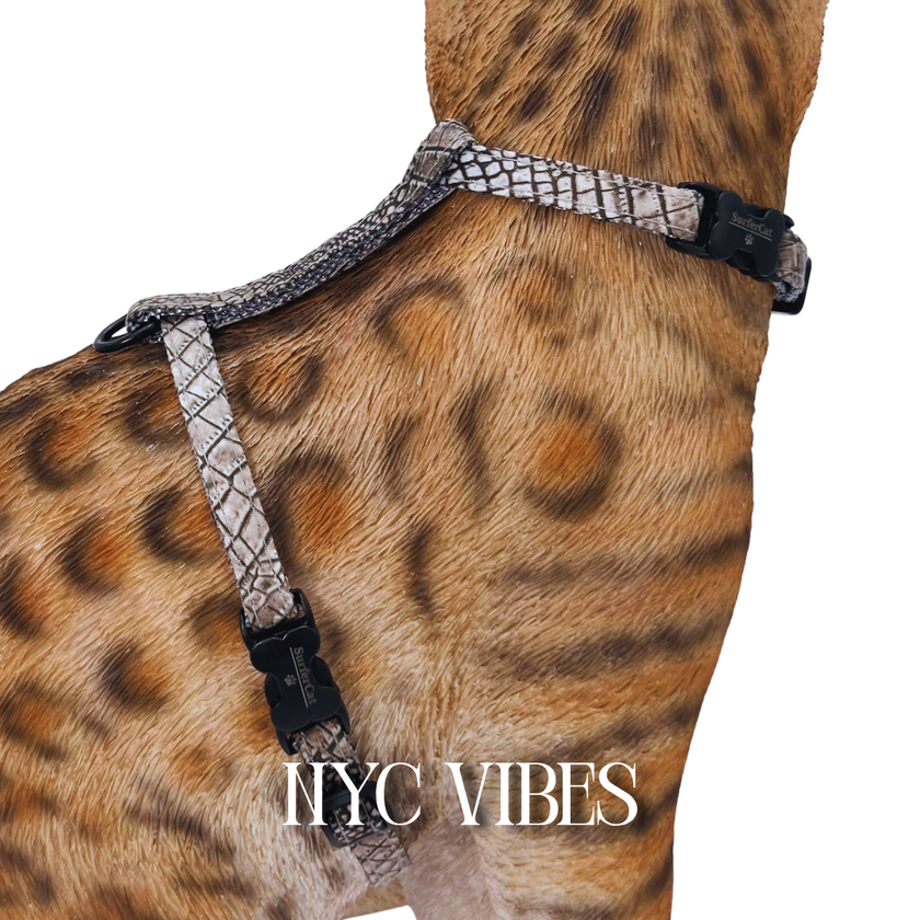 All Harnesses & Collections