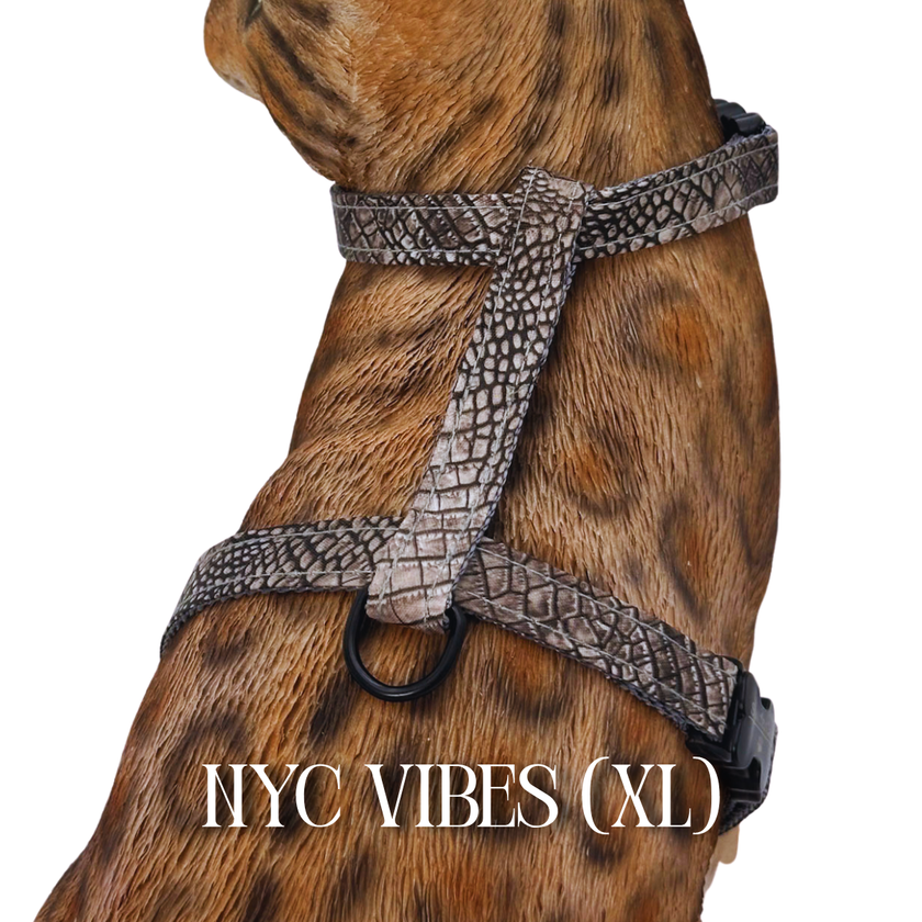 All Harnesses & Collections
