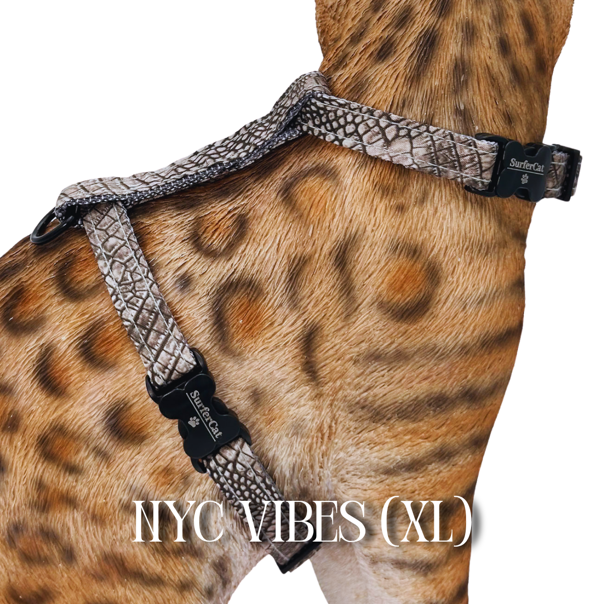 All Harnesses & Collections