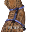 All Harnesses & Collections
