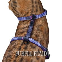 Load image into Gallery viewer, All Harnesses &amp; Collections
