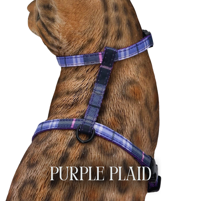 Classic Plaid Collection